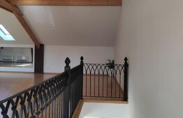 Spatiu comercial pe doua niveluri, 400 mp, zona Mehala