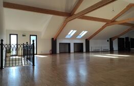 Spatiu comercial pe doua niveluri, 400 mp, zona Mehala