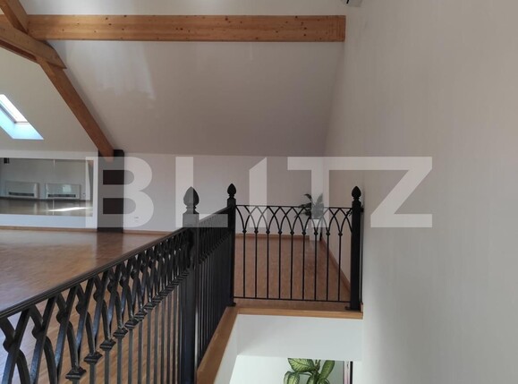 Spațiu comercial de închiriat Mehala - 100776SIC | BLITZ Timișoara | Poza5