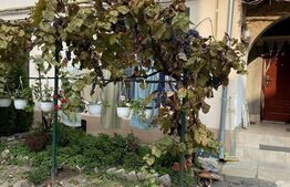 Garsoniera de 27 mp, curte comuna, Fabric