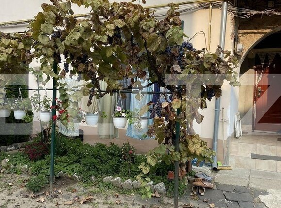 Garsonieră de vânzare Fabric - 100793AV | BLITZ Timișoara | Poza10