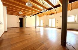 Apartament de 3 camere, 114 mp, la mansarda, Piata Unirii