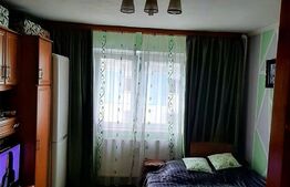 Garsoniera de 24 mp, Buziasului