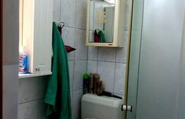 Garsoniera de 24 mp, Buziasului