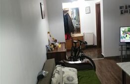 Apartament 2 camere, parter, 49 mp, Braytim