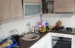 Apartament 2 camere, parter, 49 mp, Braytim