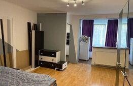 Garsoniera de 36 mp, etaj intermediar, Take Ionescu