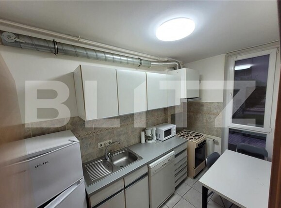 Garsonieră de vânzare Sagului - 100864AV | BLITZ Timișoara | Poza2
