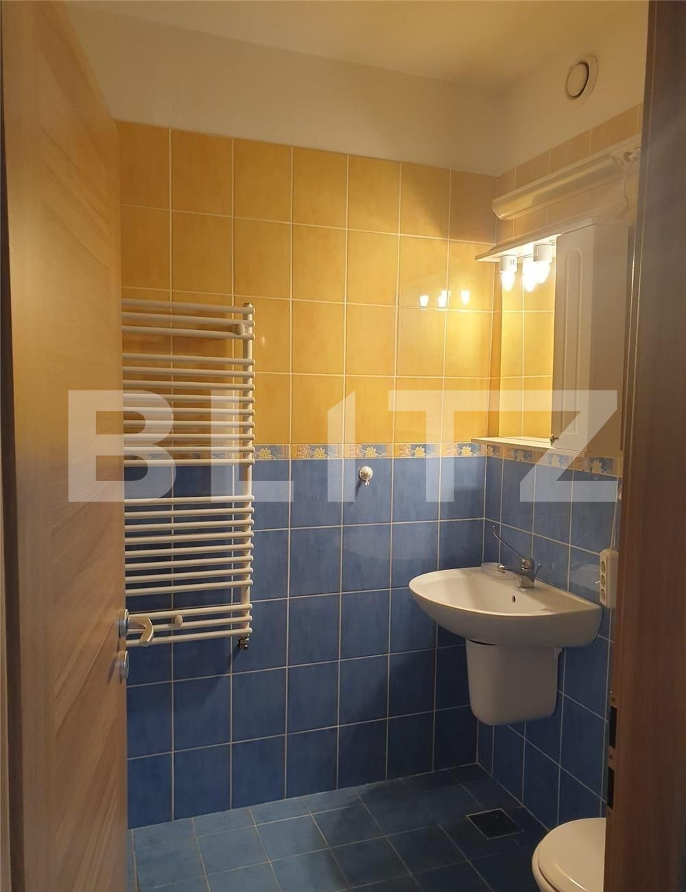 Garsonieră de vânzare Sagului - 100864AV | BLITZ Timișoara | Poza6
