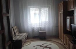 Garsoniera de 22 mp, mobilata si utilata, Blascovici 