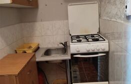 Garsoniera de 22 mp, mobilata si utilata, Blascovici 