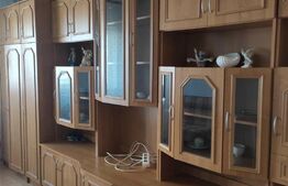 Garsoniera de 22 mp, mobilata si utilata, Blascovici 