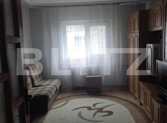 Garsonieră de vânzare Blascovici - 100881AV | BLITZ Timișoara | Poza1