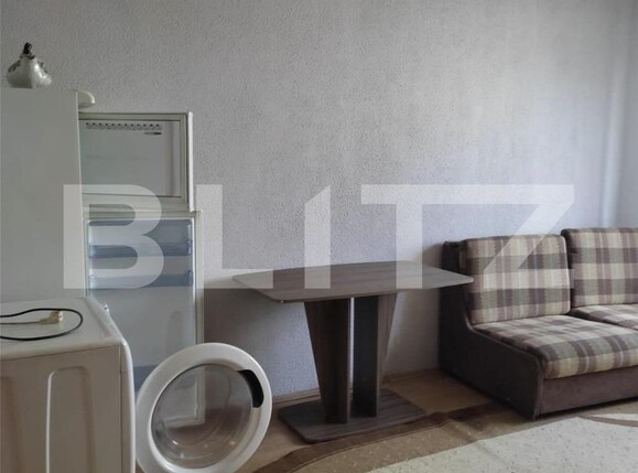 Garsonieră de vânzare Blascovici - 100881AV | BLITZ Timișoara | Poza3