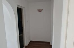 Duplex de 220 mp, doua locuri de parcare, zona Lipovei