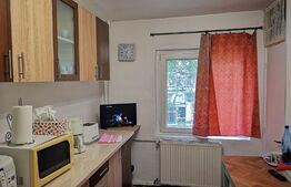 Apartament 2 camere, 56 mp, Steaua