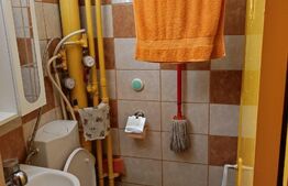 Garsoniera 25 mp, decomandata, Blascovici