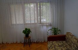 Garsoniera 25 mp, decomandata, Blascovici