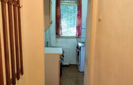 Garsoniera 25 mp, decomandata, Blascovici