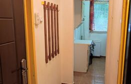 Garsoniera 25 mp, decomandata, Blascovici