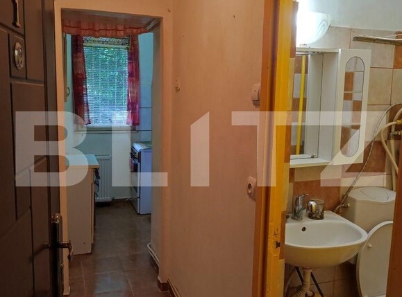 Garsonieră de vânzare Blascovici - 100988AV | BLITZ Timișoara | Poza2
