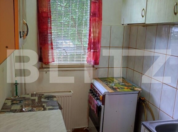 Garsonieră de vânzare Blascovici - 100988AV | BLITZ Timișoara | Poza3