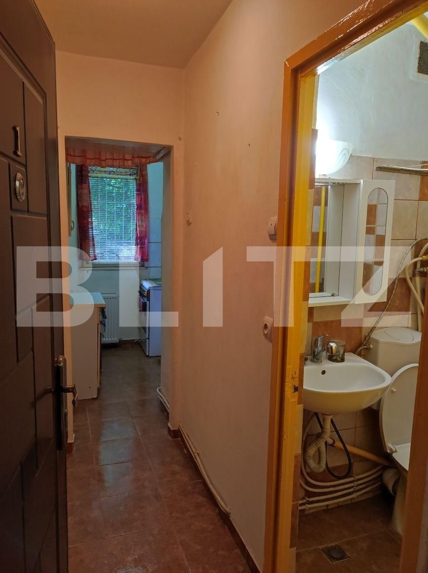 Garsonieră de vânzare Blascovici - 100988AV | BLITZ Timișoara | Poza2