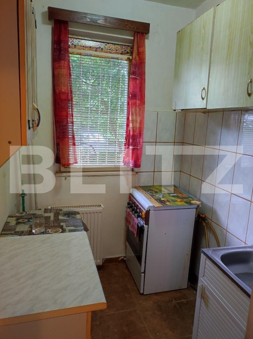 Garsonieră de vânzare Blascovici - 100988AV | BLITZ Timișoara | Poza3