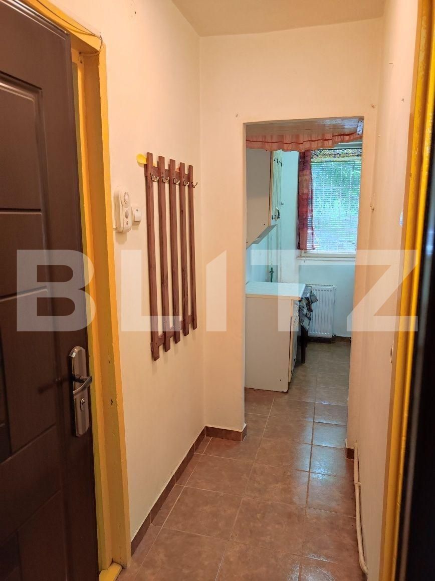 Garsonieră de vânzare Blascovici - 100988AV | BLITZ Timișoara | Poza4