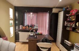 Apartament cu 2 camere, 47 mp, zona Lipovei