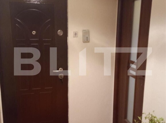 Apartament de vânzare 2 camere Sagului - 101078AV | BLITZ Timișoara | Poza3