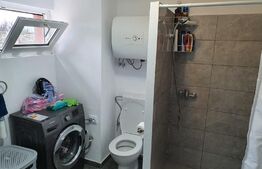 Pensiune de 4 apartamente, 300 mp, exterior Nord 