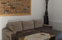 Duplex pe parter, finisat, 85 mp utili, 330 mp teren, Dumbravita