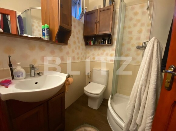 Casa de vânzare 6 camere Lipovei - 101237CV | BLITZ Timișoara | Poza8