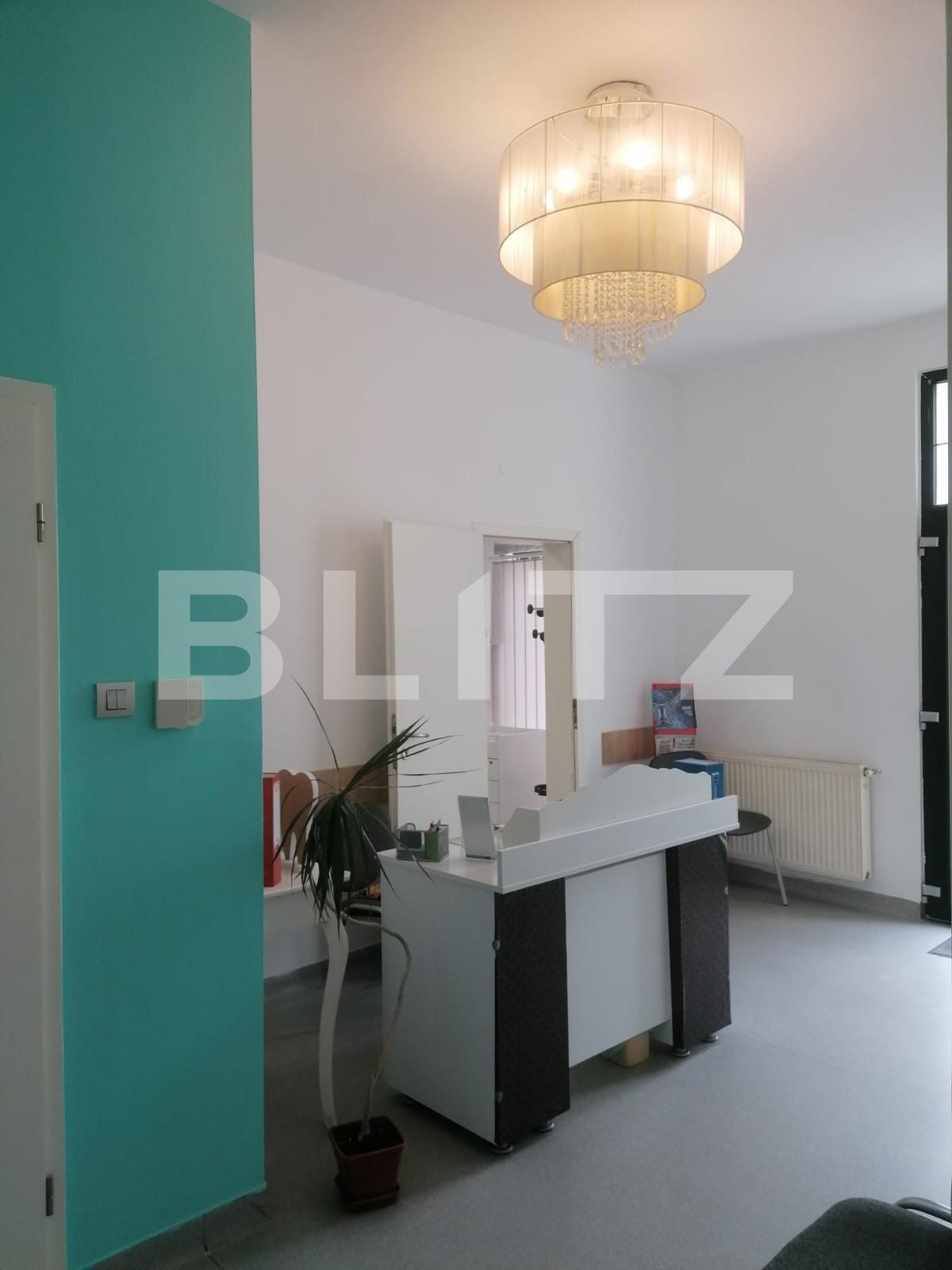 Spațiu comercial de închiriat Badea Cartan - 101273SIC | BLITZ Timișoara | Poza2