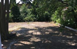 Casa D+P  6 camere, 290 mp, 560 mp teren, str. Corbului