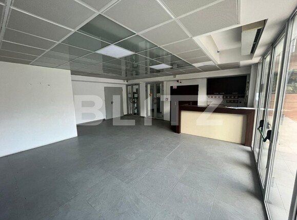 Spațiu birouri de închiriat Ultracentral - 101302SIB | BLITZ Timișoara | Poza1