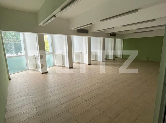 Spațiu birouri de închiriat Ultracentral - 101302SIB | BLITZ Timișoara | Poza3