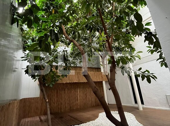 Spațiu birouri de închiriat Ultracentral - 101302SIB | BLITZ Timișoara | Poza5