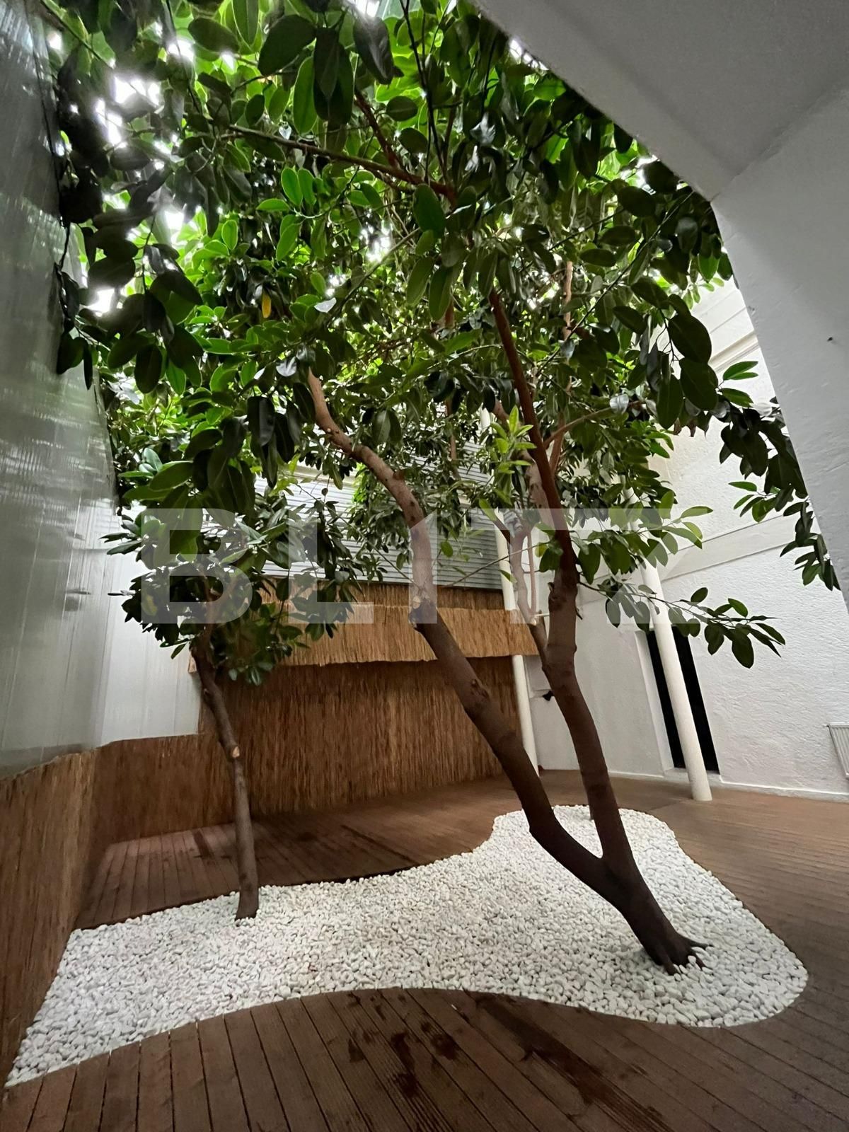 Spațiu birouri de închiriat Ultracentral - 101302SIB | BLITZ Timișoara | Poza5