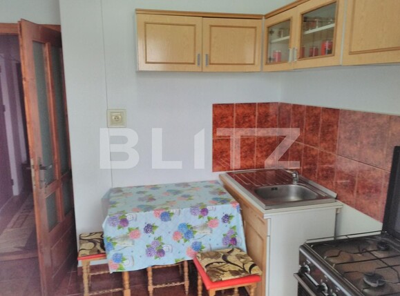 Apartament de închiriat 3 camere Lipovei - 101325AI | BLITZ Timișoara | Poza7