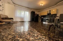 Apartament de 3 camere, la vila, curte, 60 mp, in Dumbravita