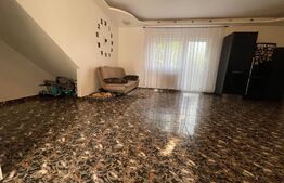 Apartament de 3 camere, la vila, curte, 60 mp, in Dumbravita