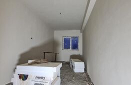 Duplex cu 5 camere, 120 mp utili, teren 250 mp