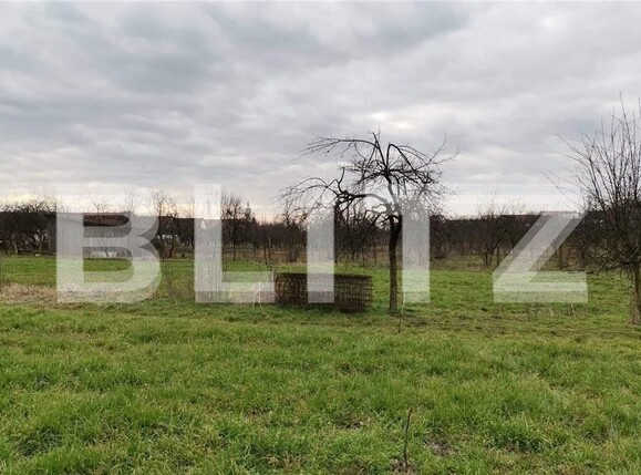 Teren de vânzare Nord-Est - 101439TV | BLITZ Timișoara | Poza1