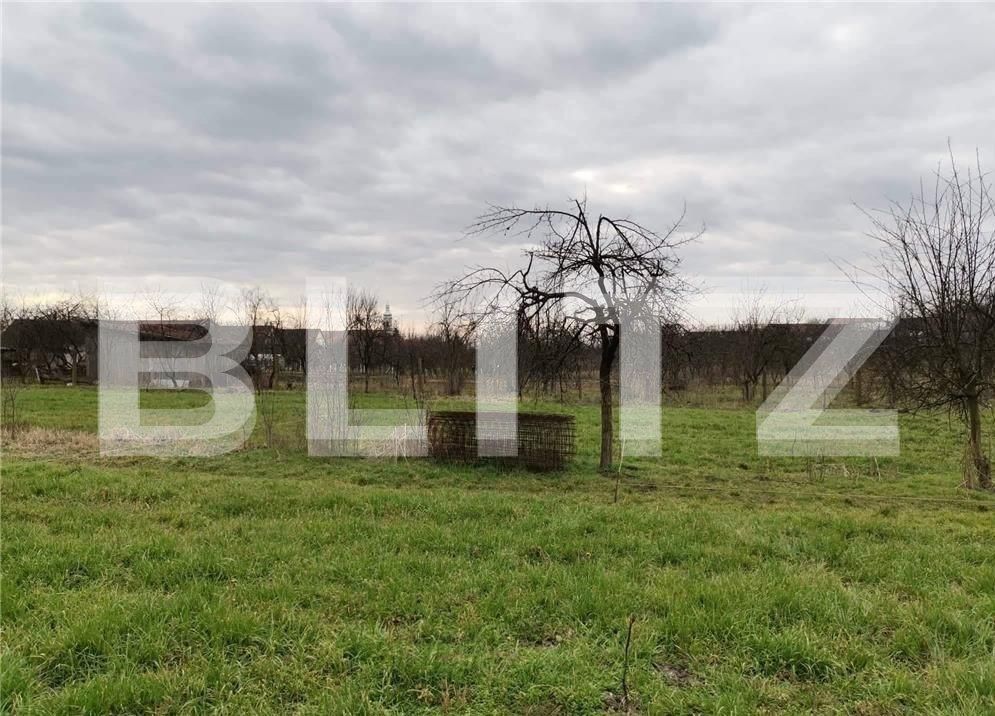 Teren de vânzare Nord-Est - 101439TV | BLITZ Timișoara | Poza1