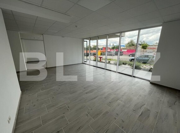 Spațiu comercial de închiriat Central - 101449SIC | BLITZ Timișoara | Poza2