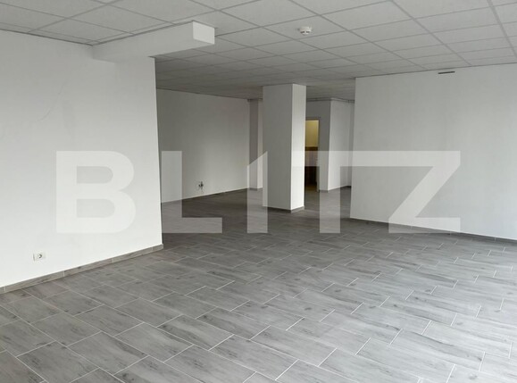 Spațiu comercial de închiriat Central - 101449SIC | BLITZ Timișoara | Poza1