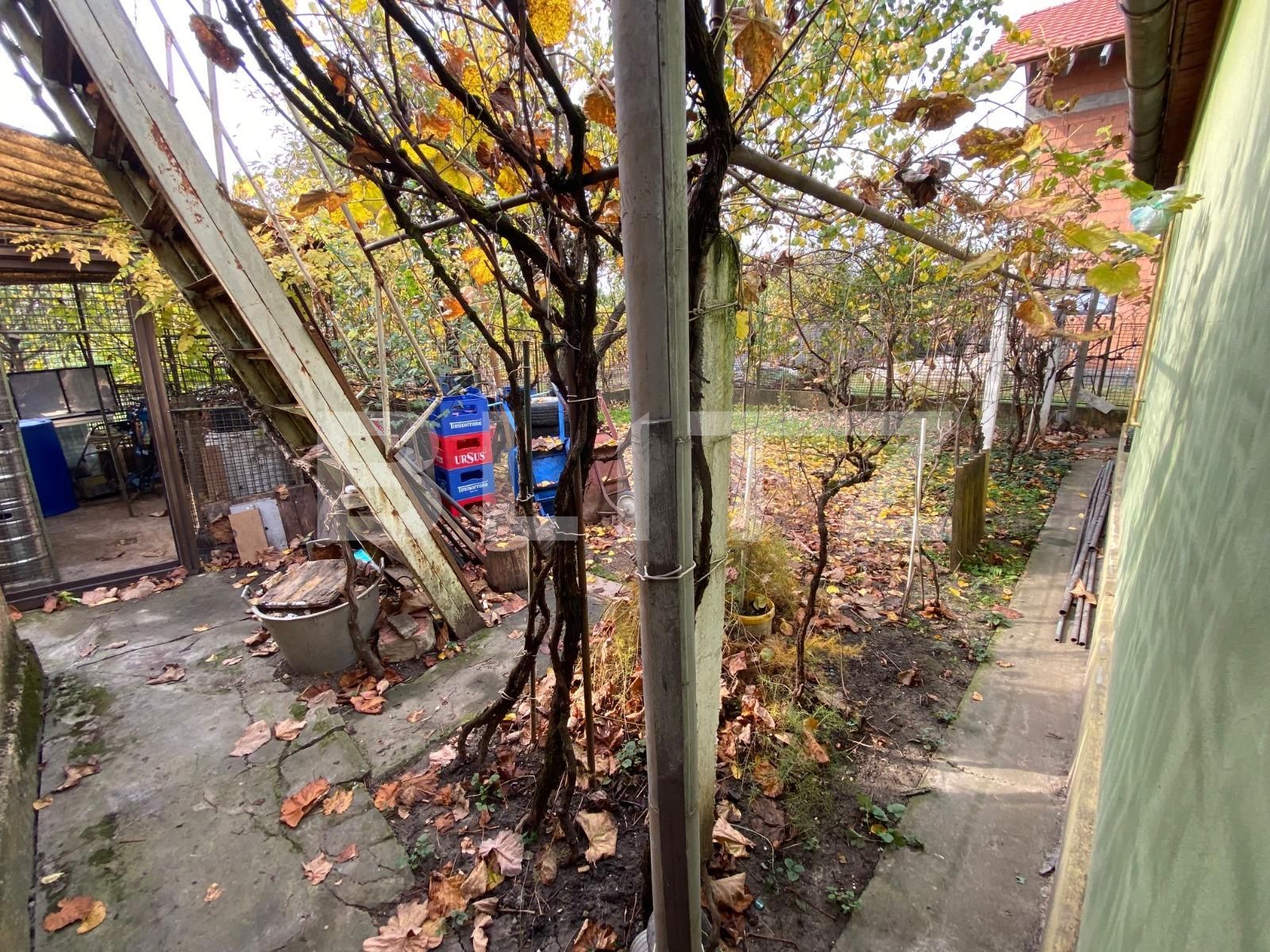 Casa de vânzare 10 camere Dumbravita - 101484CV | BLITZ Timișoara | Poza17