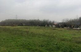 Teren intravilan 10.000 mp, front 50 ml, Timisoara!